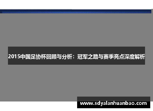 2015中国足协杯回顾与分析：冠军之路与赛季亮点深度解析